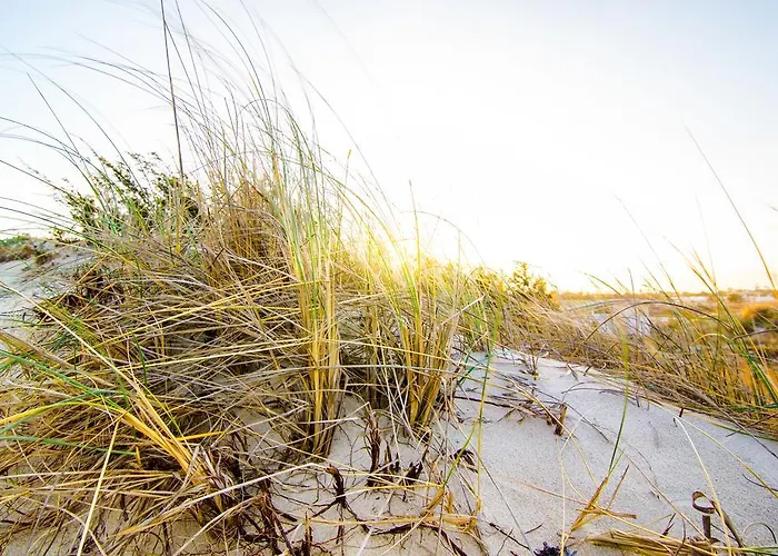 Aparthotel I Giardini Di Atena