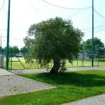 Aparthotel I Giardini Di Atena 3*