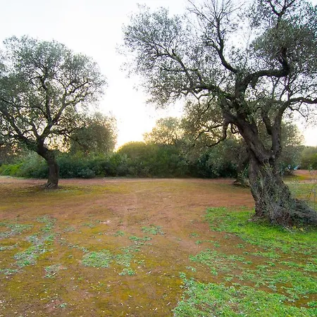 I Giardini Di Atena 3*