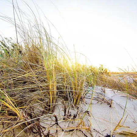 מלון דירות I Giardini Di Atena